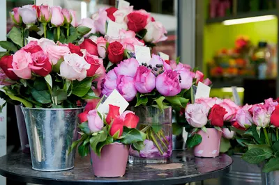 Floris Home Design